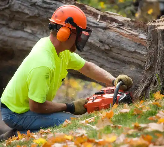 tree services Ocracoke